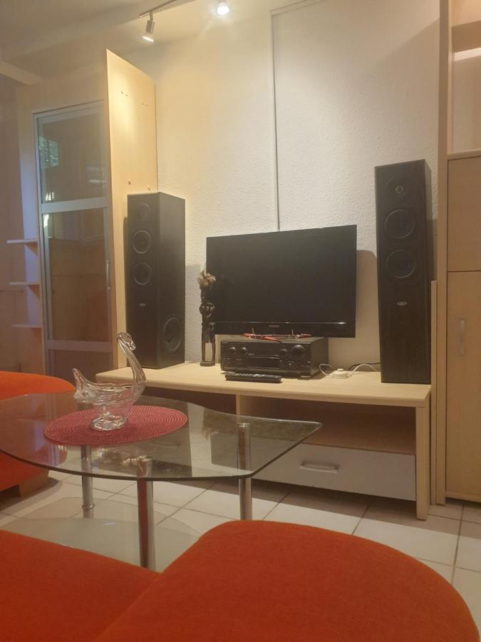 Sions Grosse Ferienwohnung Ferienwohnung Mit 3 Schlafzimmer, 2 Km Bis Zum Europapark Rust Kappel-Grafenhausen Luaran gambar
